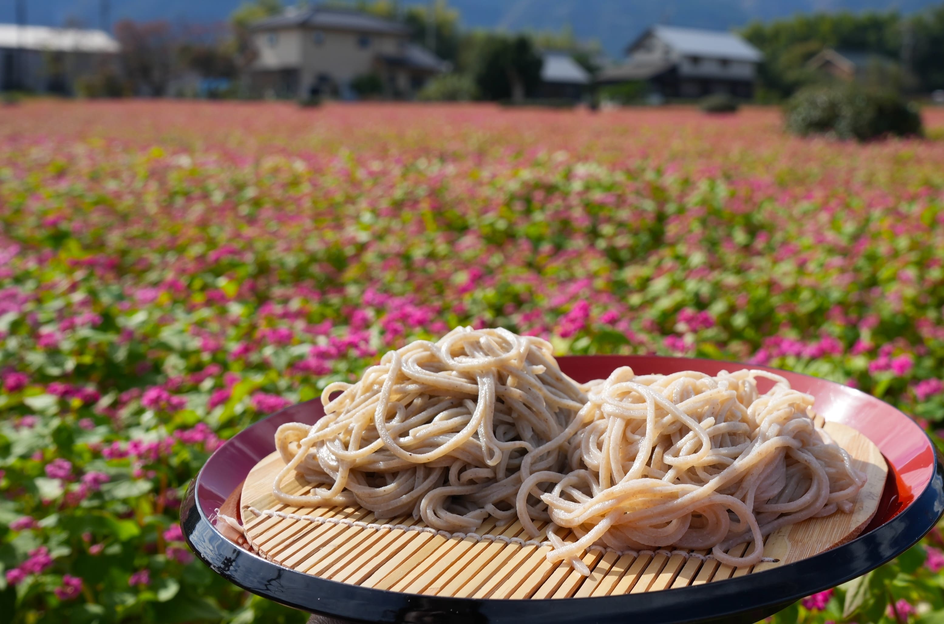 いなべ/ランチ】赤そば茶屋 ルビー色の花を咲かせる上品な味わいの